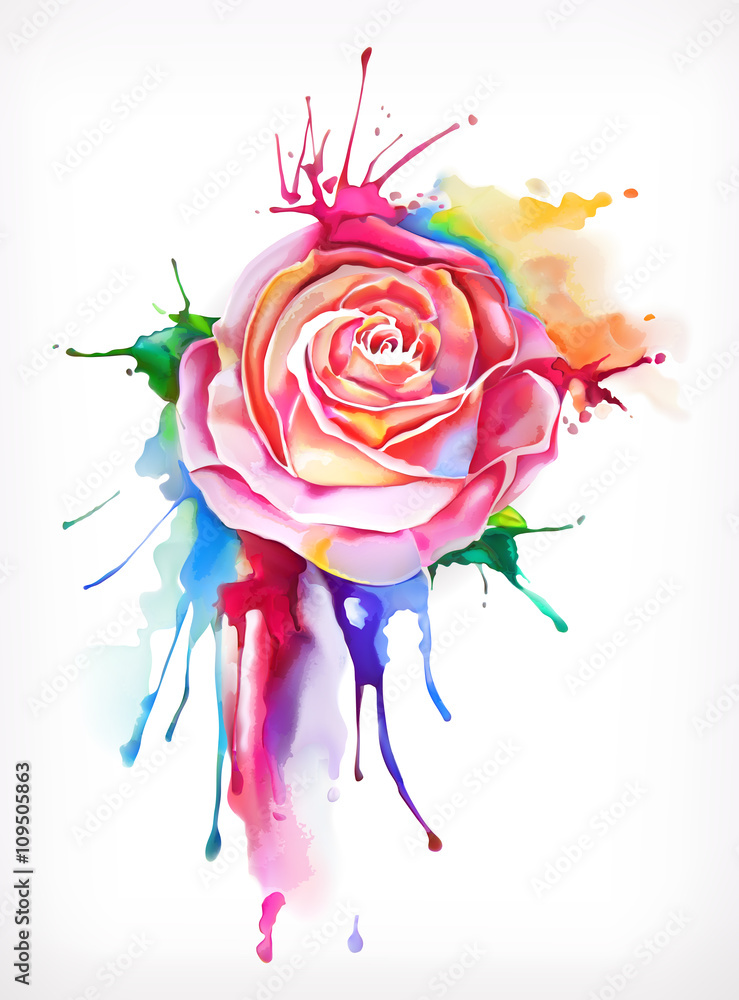 水彩画，玫瑰花，矢量插图，孤立在白色背景上