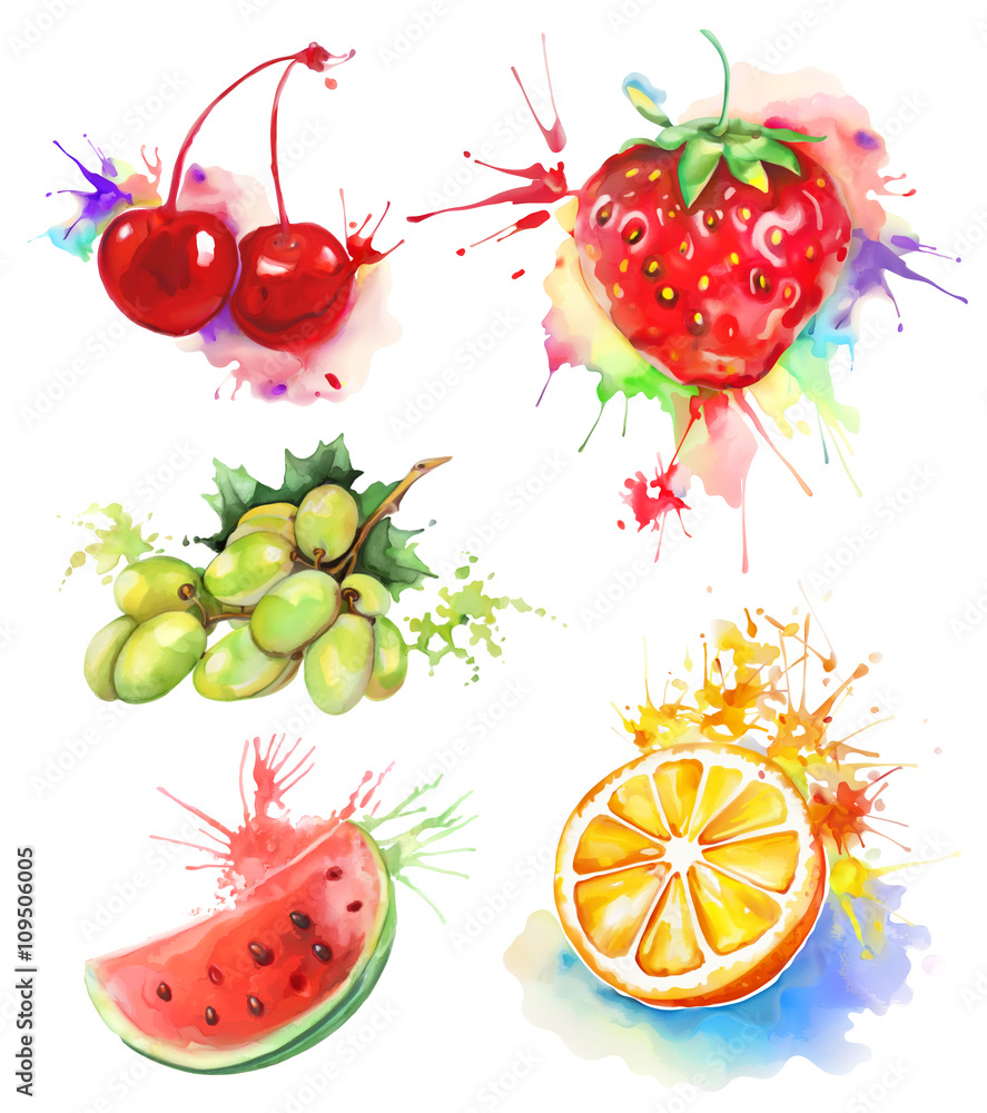 Watercolor painting, fruits and berries, vector illustration isolated on a white background