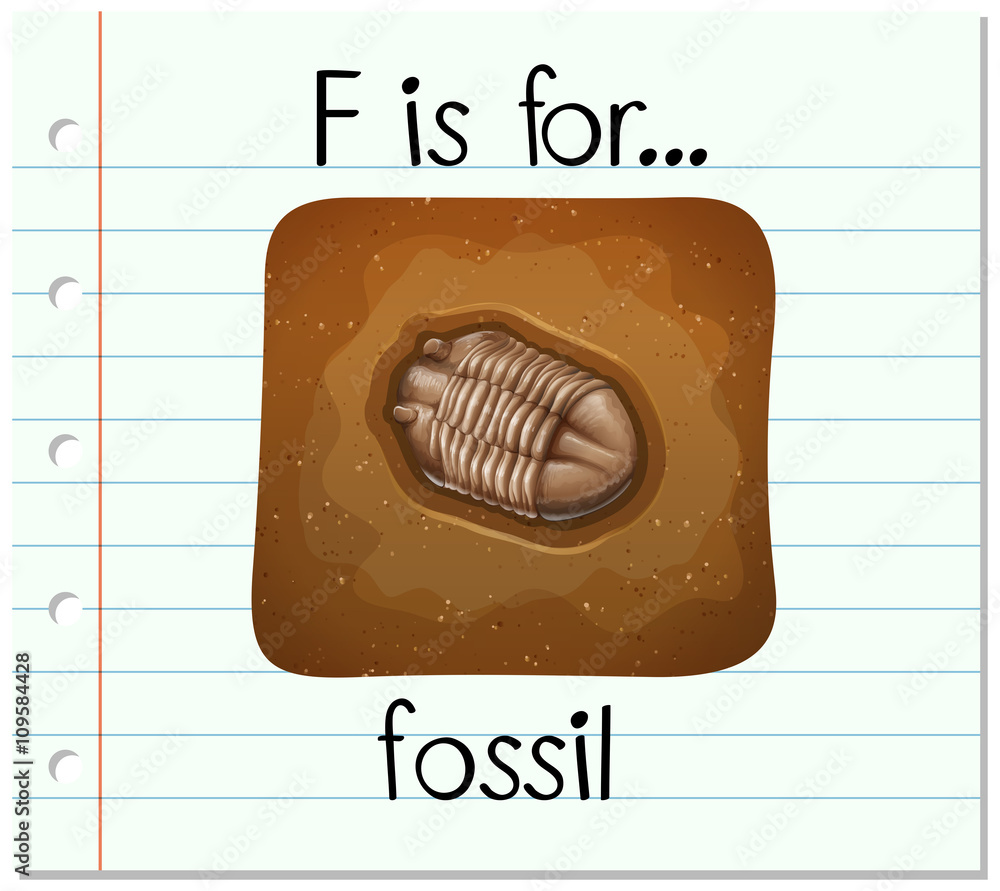 Flashcard字母表F代表化石