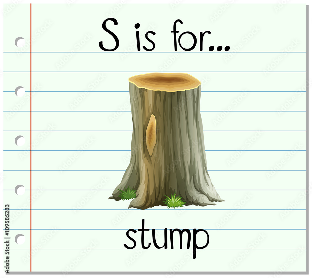 抽认卡字母S代表树桩