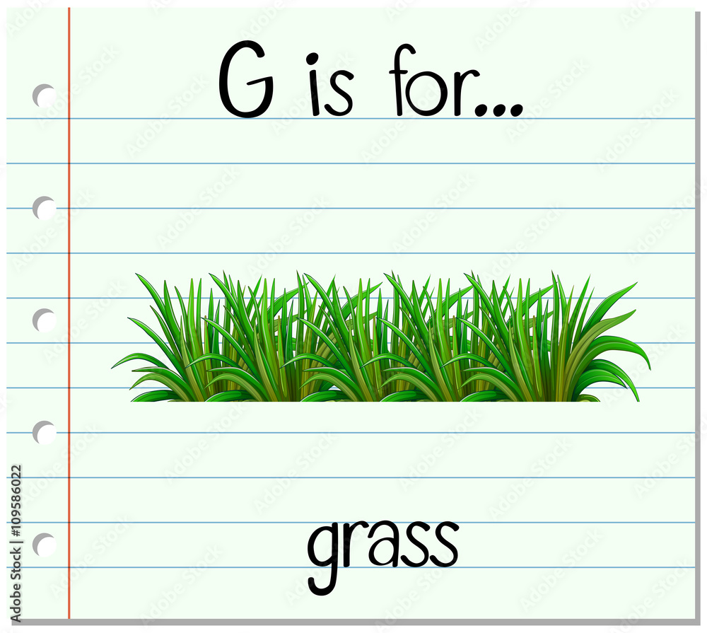 抽认卡字母G代表草