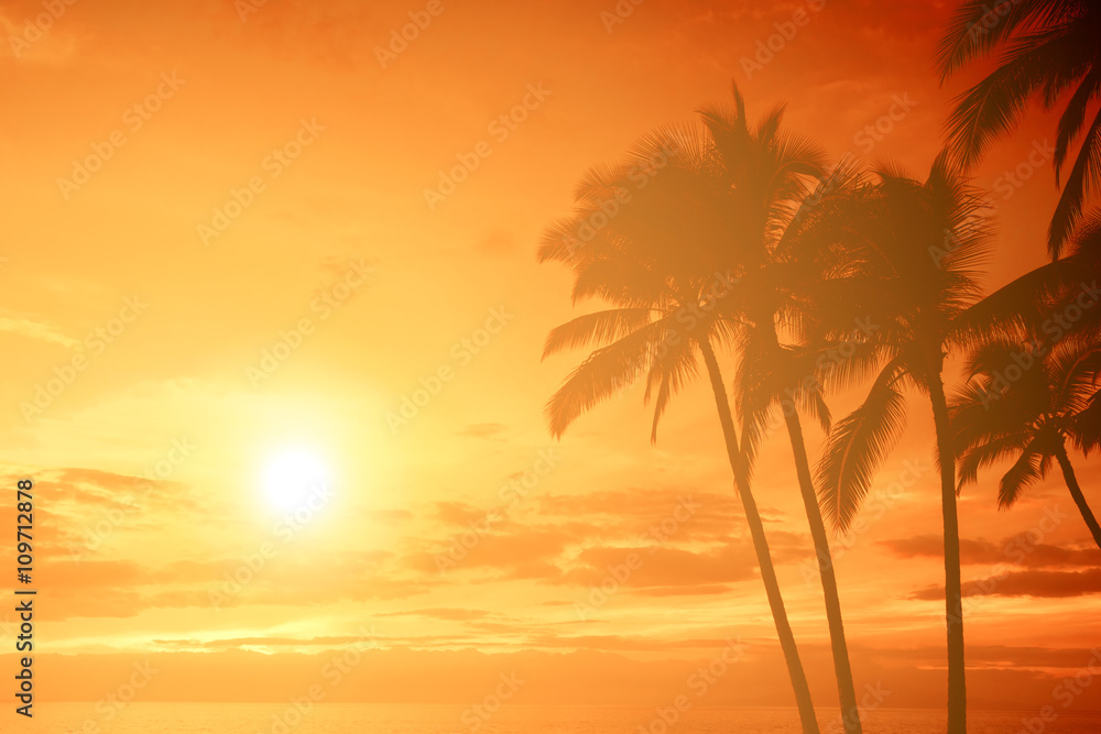 热带岛屿日落，棕榈树的剪影，炎热的暑假背景，金色的天空