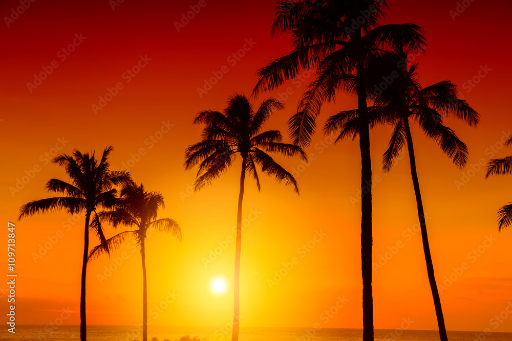 热带岛屿日落，棕榈树的剪影，炎热的暑假背景，金色的天空
