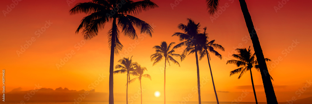 热带岛屿日落，棕榈树的剪影，炎热的暑假背景