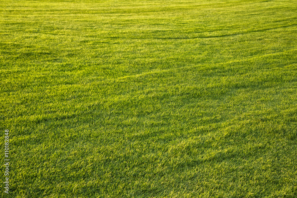 阳光明媚的足球草地背景。