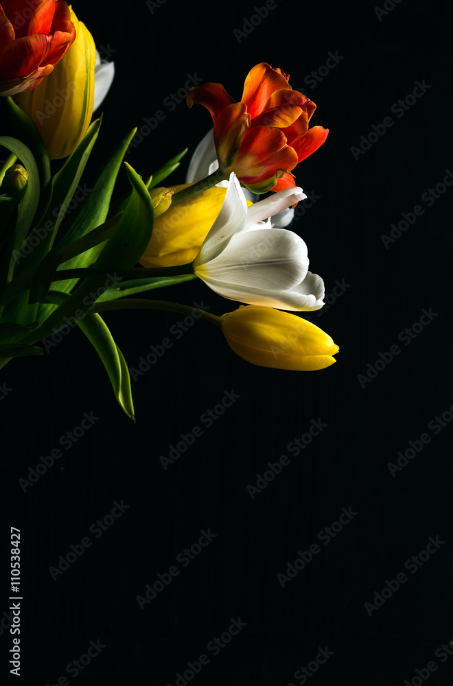 Beautiful flower bouquet of colorful tulips on black background 