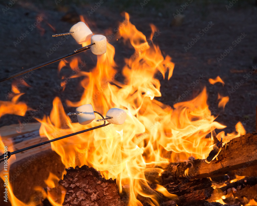 Roasting marshmallows over campfire 