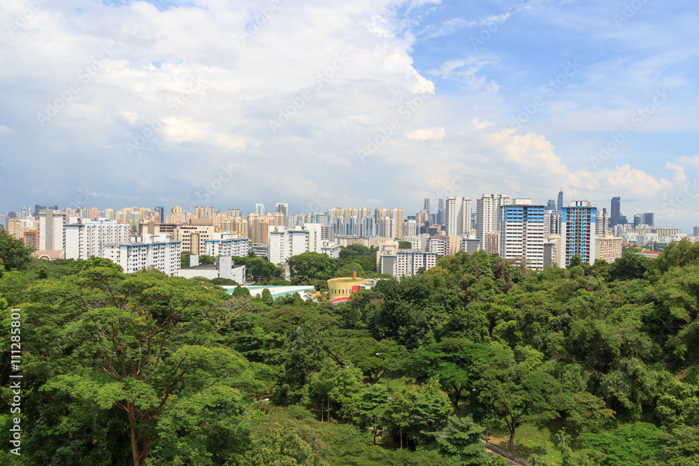 从法伯山雨林俯瞰新加坡天际线全景