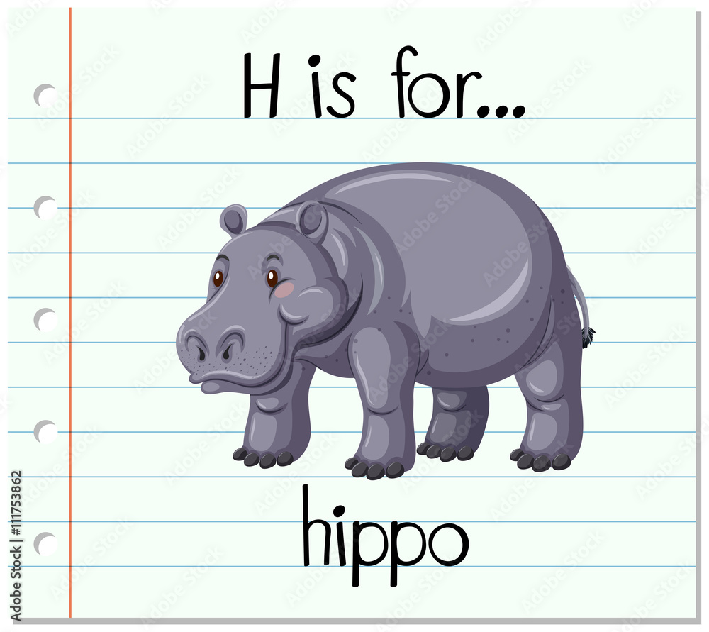 Flashcard letter H is for hippo