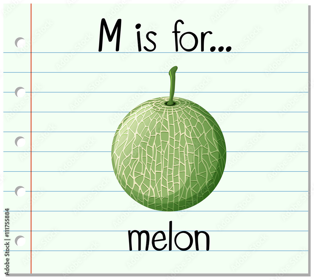 抽认卡字母M代表甜瓜