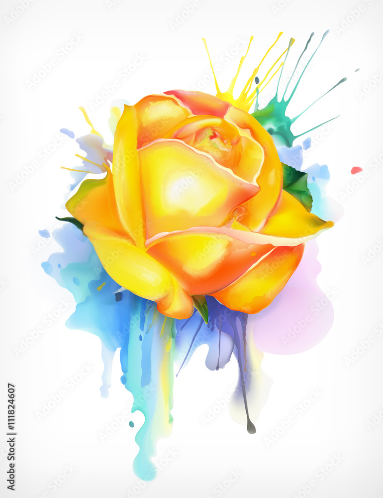 Watercolor painting, yellow rose vector illustration, isolated on a white background