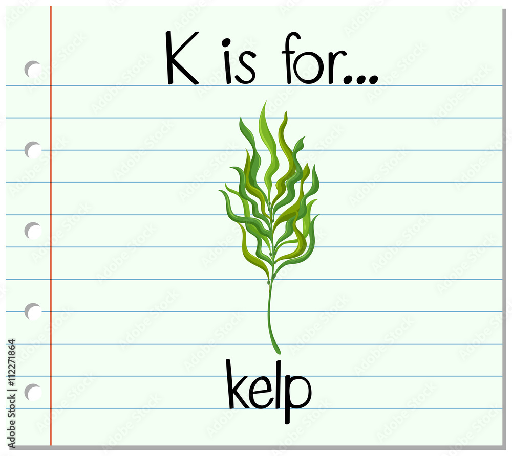 Flashcard letter K is for kelp