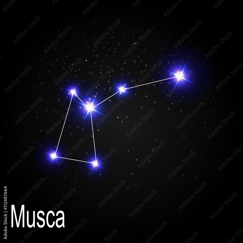 Musca Constellation with Beautiful Bright Stars on the Backgroun
