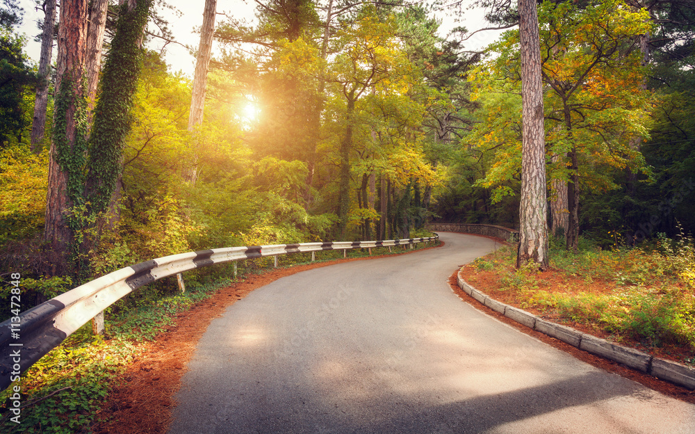 Beautiful landscape with asphalt road, green forest and yellow sun at colorful sunrise in summer. Cr