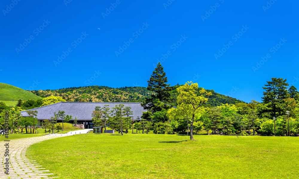 日本关西地区奈良公园的场地