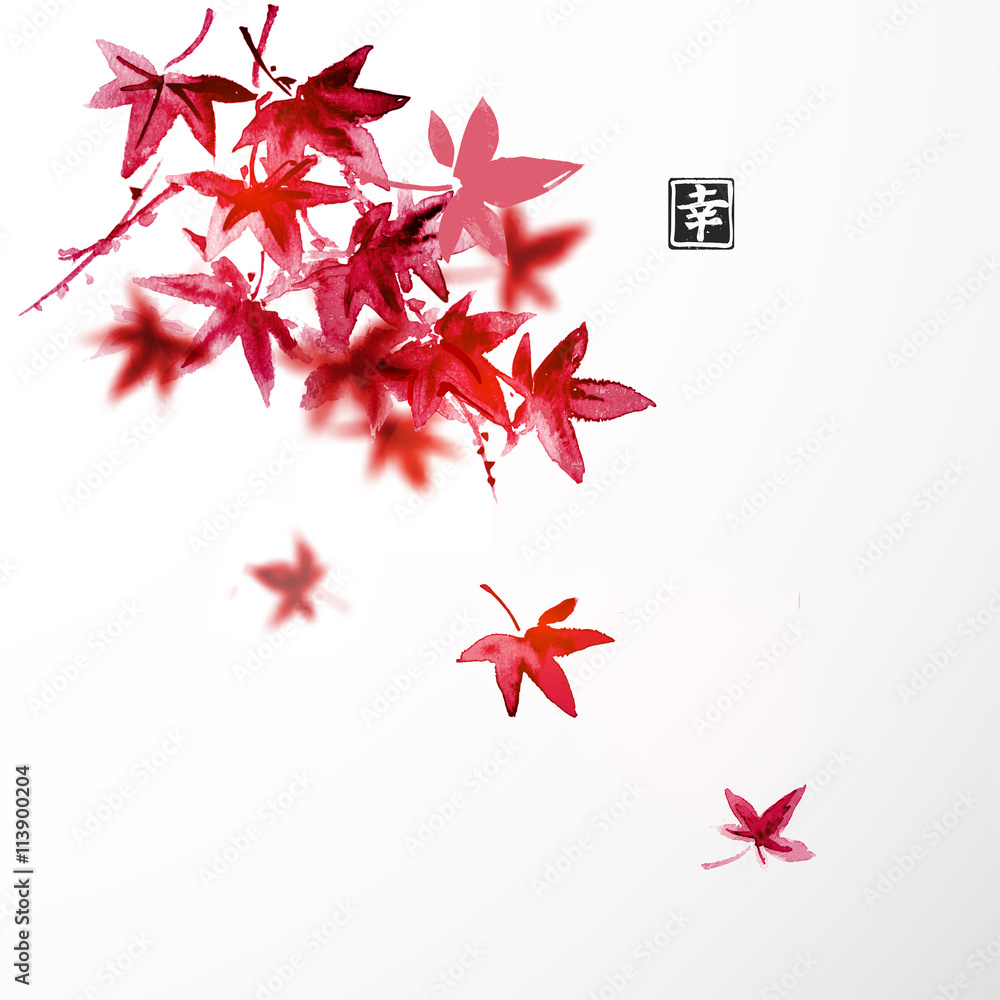 白色背景上的红色日本枫叶