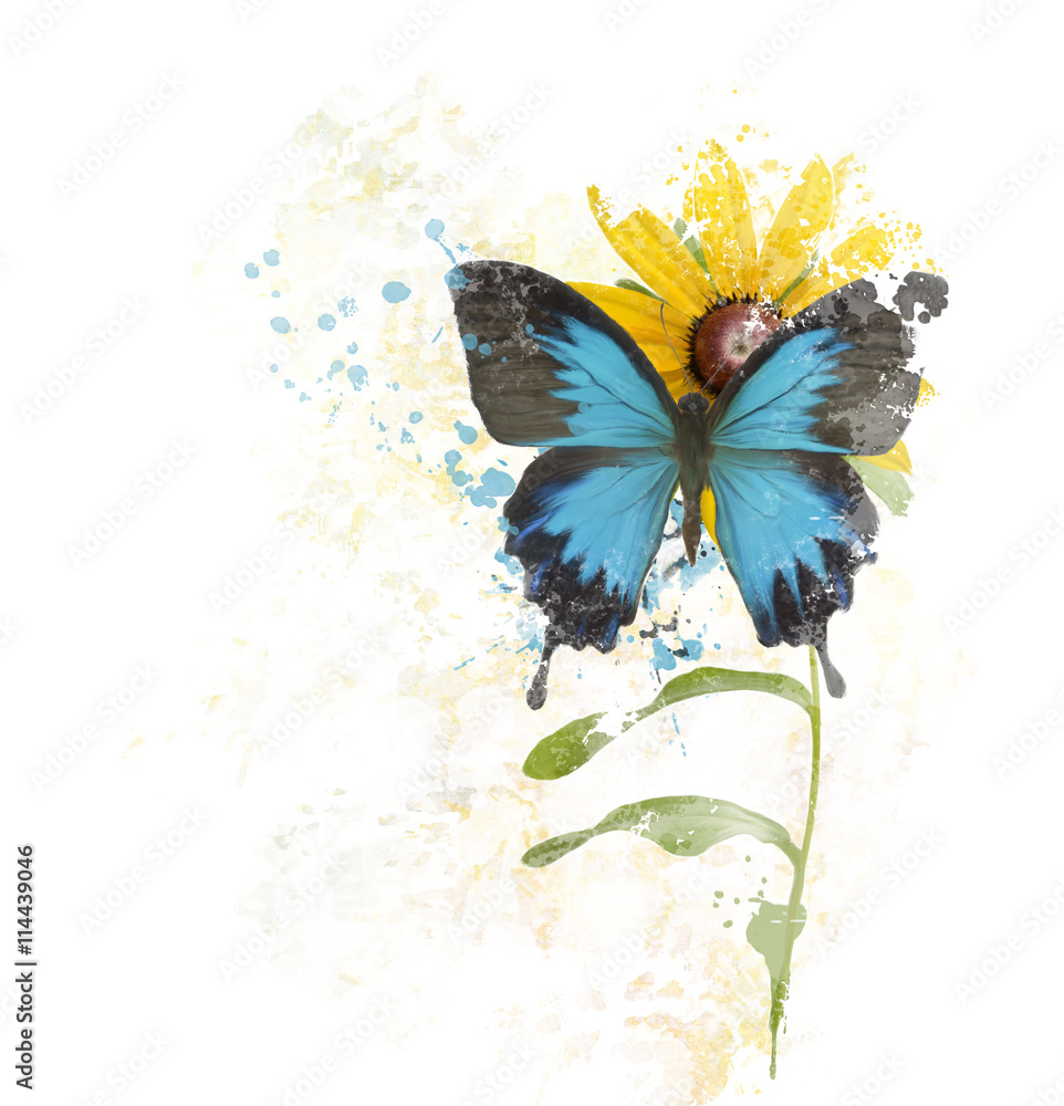 花上的蓝蝴蝶