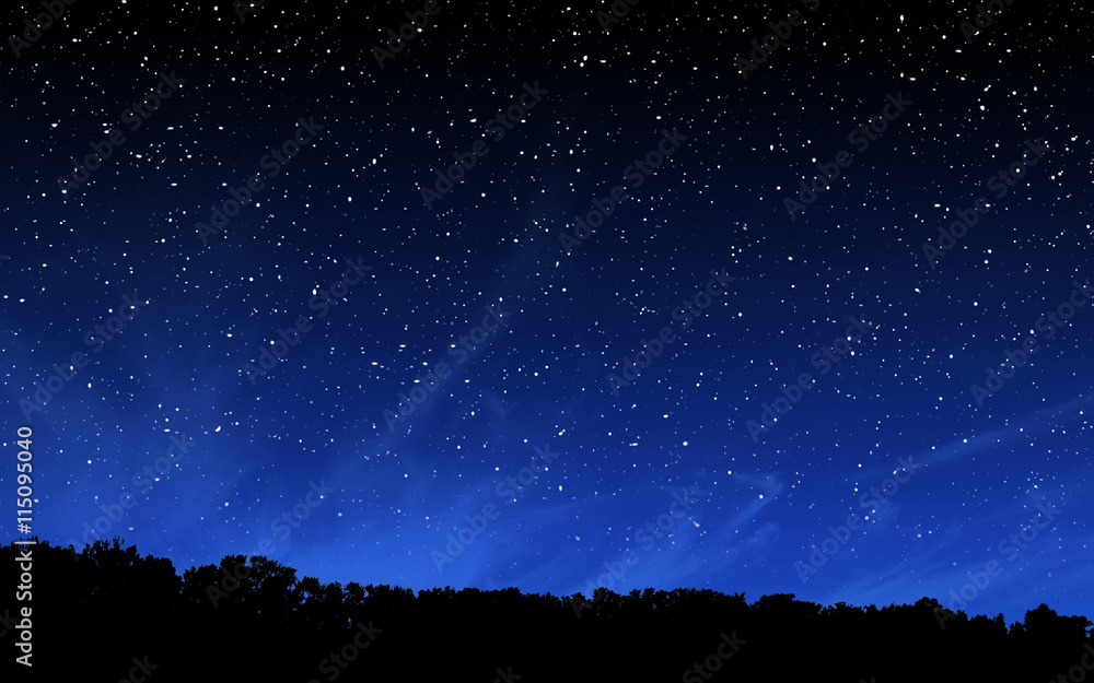有许多星星和森林的夜空