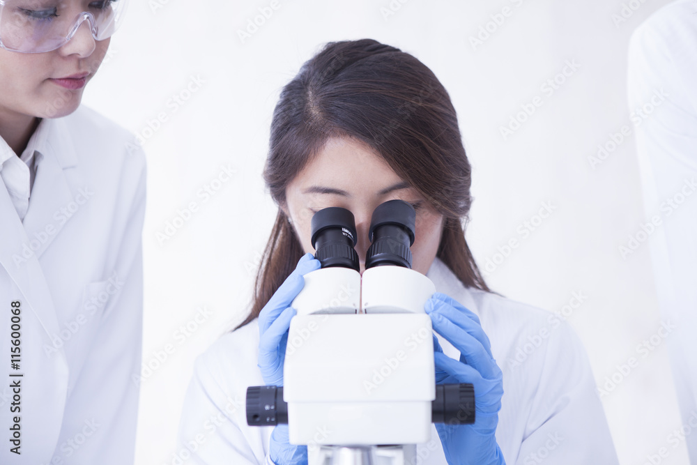 女性研究人员通过显微镜观察