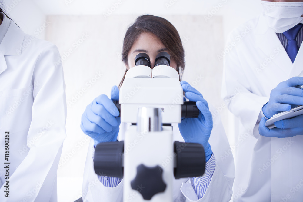 女性研究人员通过显微镜观察