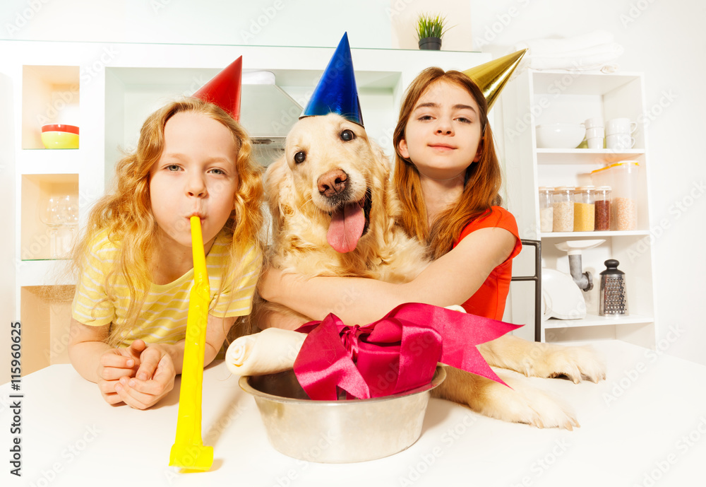 女孩和狗狗用派对道具庆祝B日
