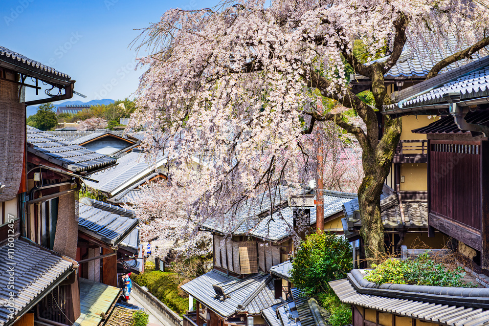 Kyoto, Japan in Spring season.