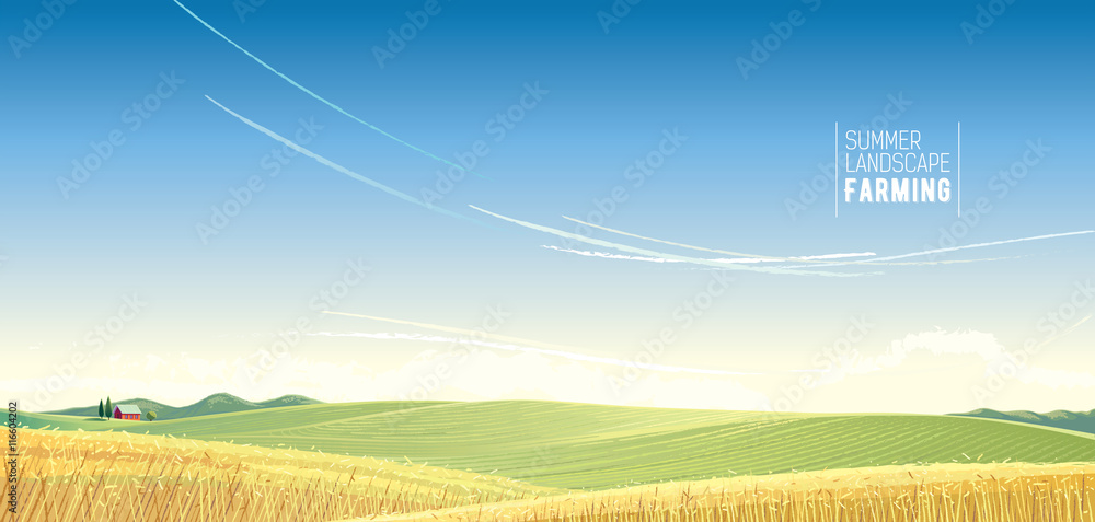 以小麦和房屋为背景的乡村景观，用作背景图像。