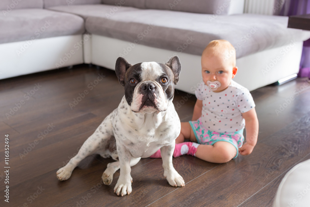 Baby girl sitting with french bulldog on the floor