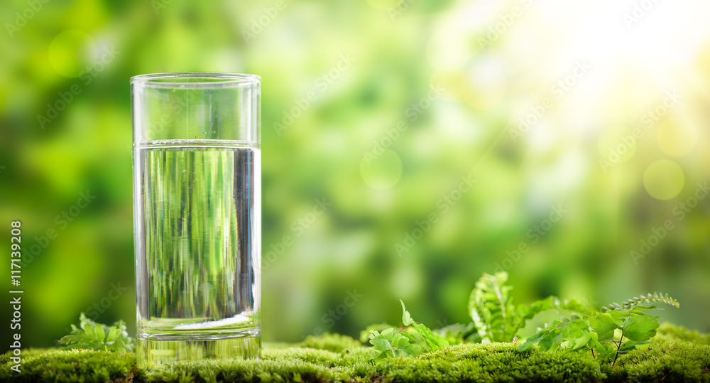 绿色苔藓上的一杯水