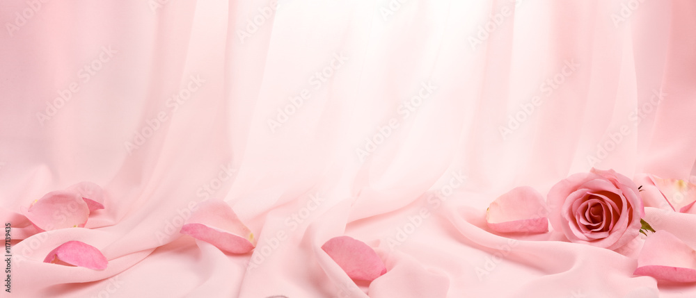 柔软丝绸上的粉色玫瑰