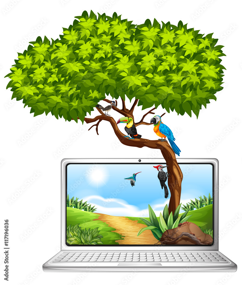 树上有鸟的电脑屏幕