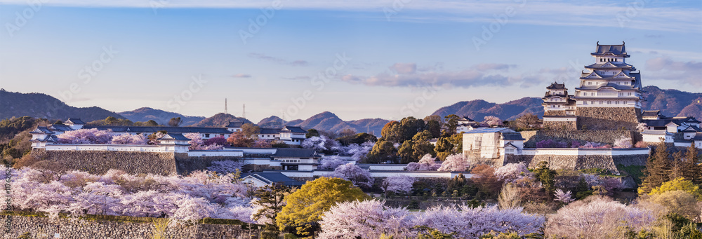 樱花季节点亮的日本姬路城堡