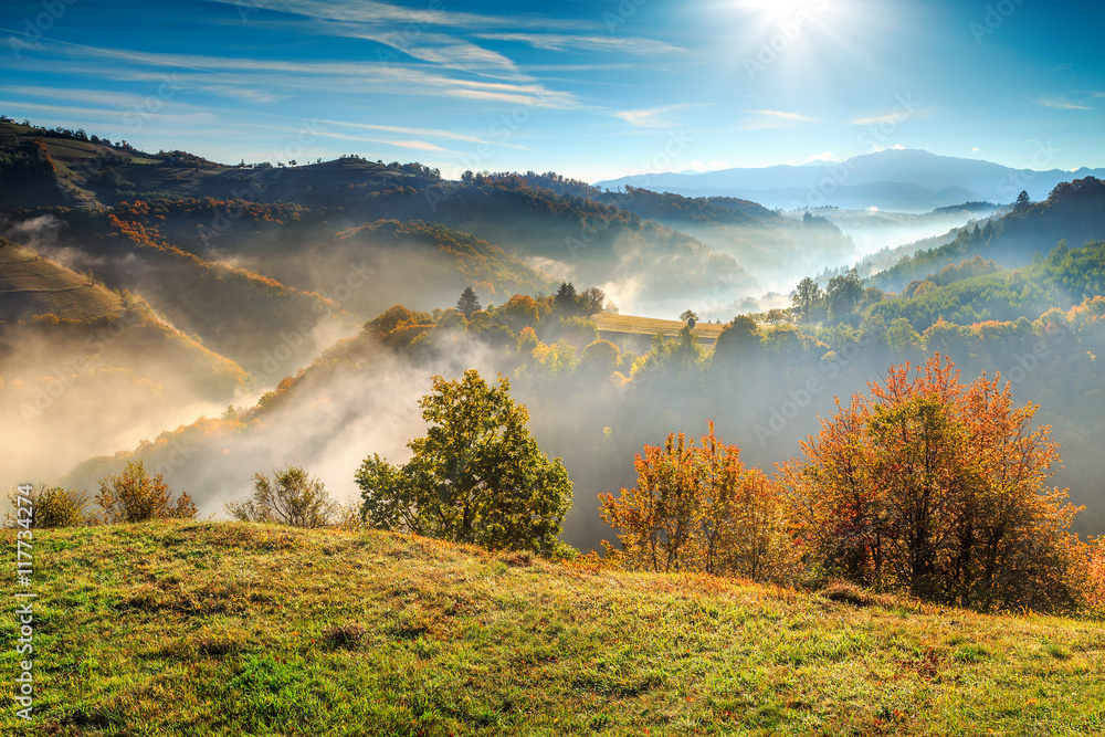 欧洲，特兰西瓦尼亚，罗马尼亚，霍尔巴夫，带薄雾山谷的多彩秋季景观