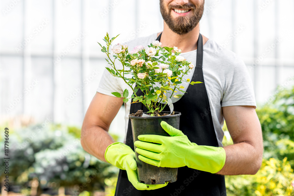 一位英俊的园丁在温室里拿着一盆鲜花的肖像。特写聚焦o