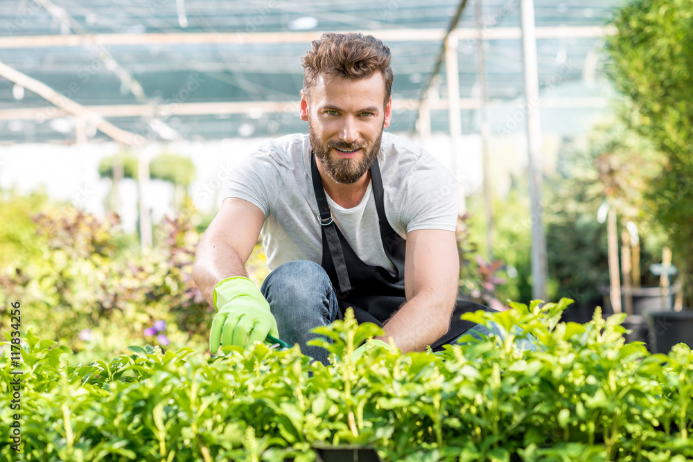 Portrait of a handsome gardener in apron with green plants. Worker taking care of plants in the hotb