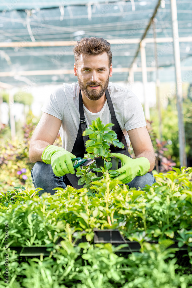 一位英俊的园丁的画像，他穿着围裙，种着绿色植物。工人在温床里照顾植物