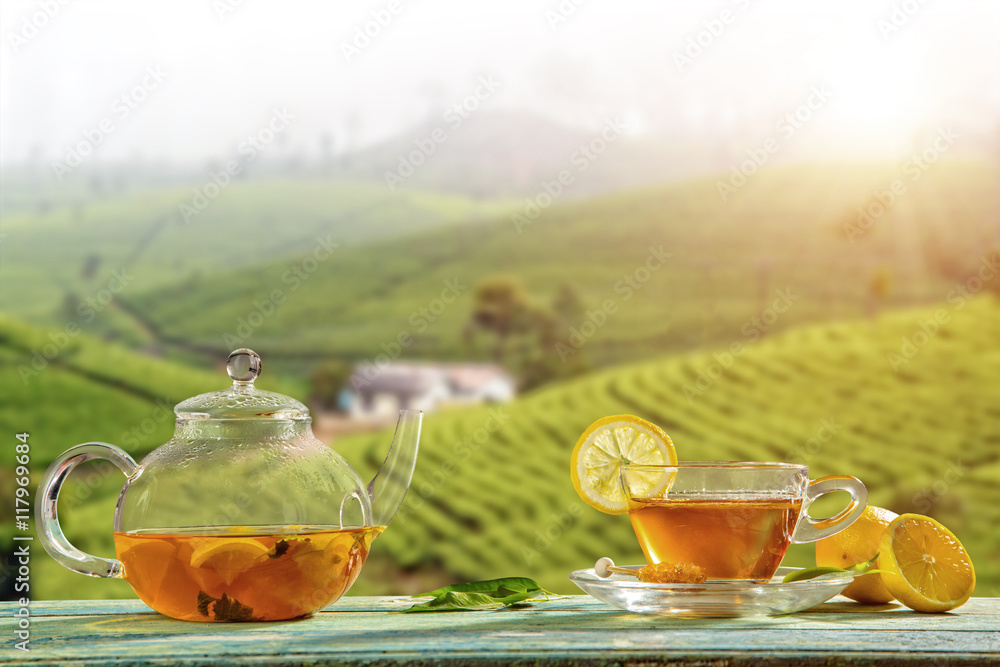 一杯背景是种植园的热茶
