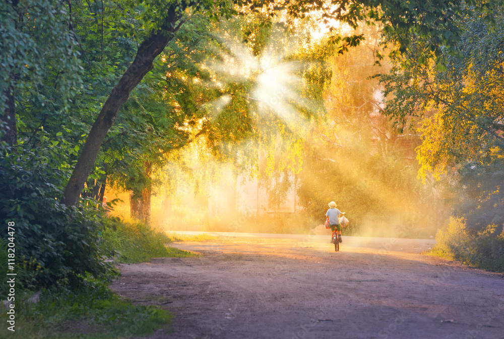 Road to childhood  little boy rides bicycle toward the sun.