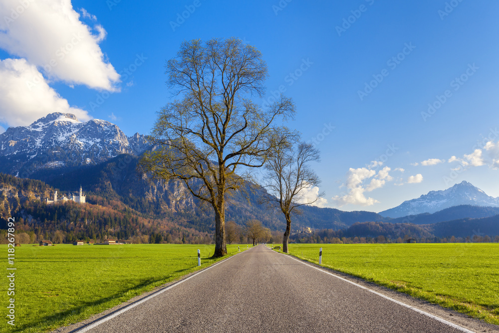 美丽的乡村公路，绿树成荫，山间绿草如茵