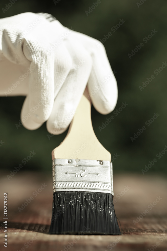 Painter painting wooden surface, protecting wood