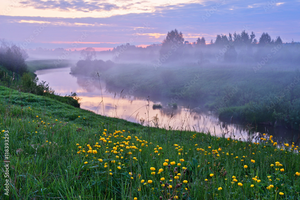 日落时雾中的河流和盛开的草地。