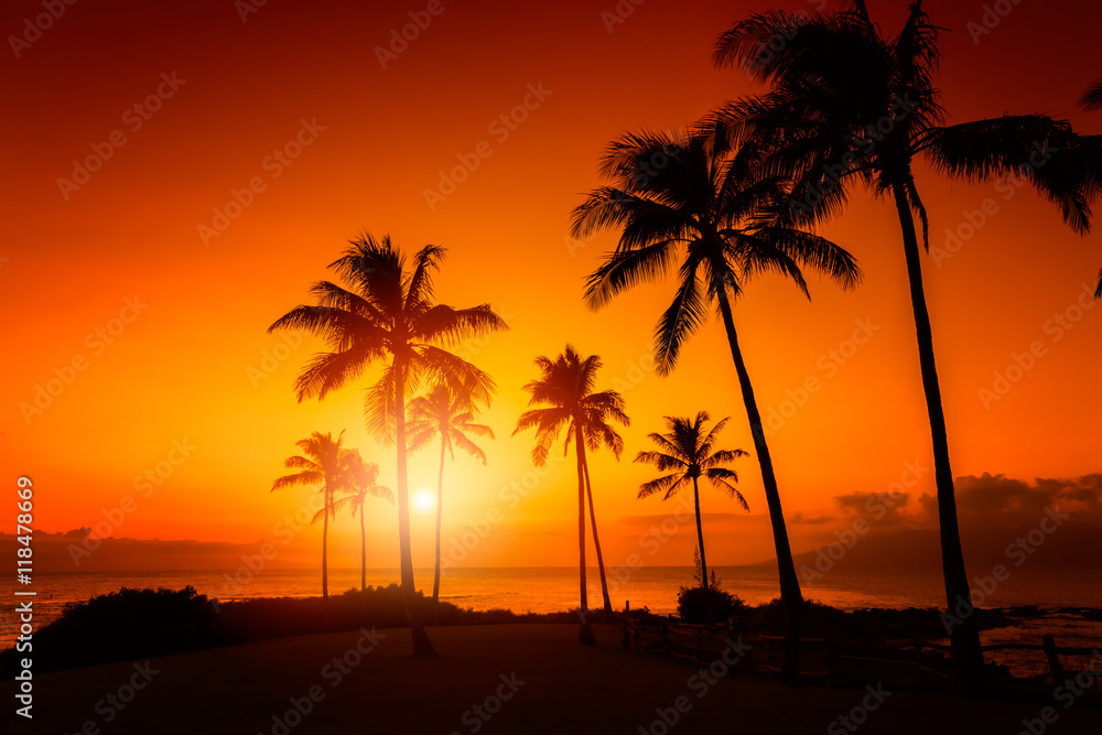 金色的天空与棕榈树热带日落