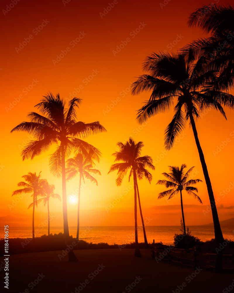 金色的天空与棕榈树热带日落