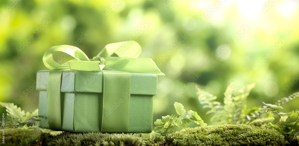 苔藓上的绿色礼盒