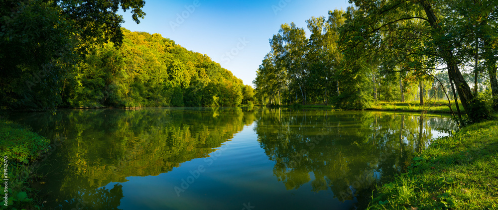 湖泊与绿色森林
