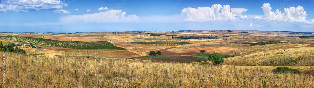 意大利南部金色的麦田和贫瘠的农田景观