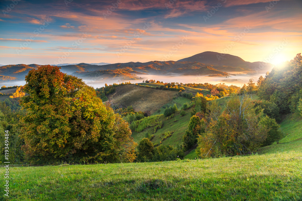 欧洲特兰西瓦尼亚Holbav，罗马尼亚，带薄雾山谷的多彩秋季景观