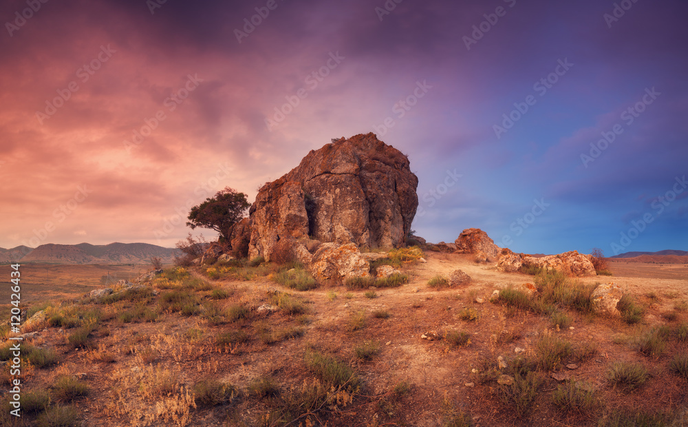 美丽的日落天空背景下，沙漠中的岩石上长出一棵树。全景景观