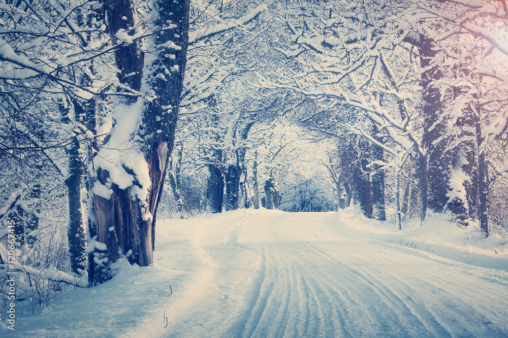 乡村雪天冬日清晨的雪地小巷