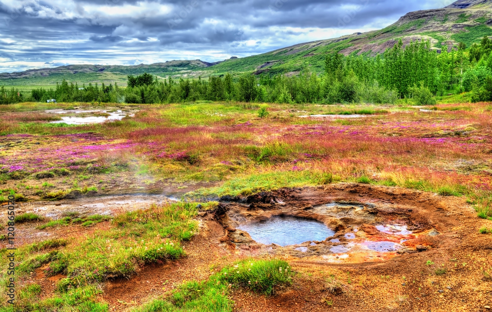 冰岛Haukadalur山谷的温泉
